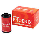 Harman Phoenix ISO 200 135/36