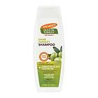 Palmer's Shine Therapy Shampoo Olive Oil, Vitamin E Jamaican Black Castor Oil 400ml Schampo hos Luxplus