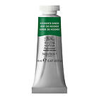 Winsor & Newton Professional akvarellfärg 14ml Hooker'S Green 311