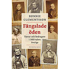 Fängslade öden : Tjuvar och bedragare i 1800-talets Sverige