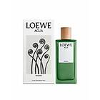 Loewe Agua Miami Edt 75ml