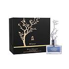 Aurora Deciduous Winter edp 100ml