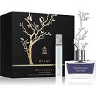 Aurora Deciduous Winter Gift Set