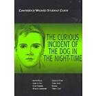 The Curious Incident of the Dog in the Night Time