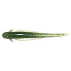 Bait Breath Real Evolution 9cm Gripan Seed/Blue Green