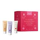 hagi Plum Picking Wash Gel & Body Balm