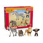 Schleich Wild Life "Africa" Start Set