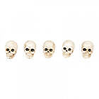 Dödskallar mini 5-pack