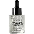 Skinscience Water-free Niacinamide Galactomyces Serum 30ml