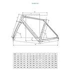 Bianchi Infinito Icr Vp 2024