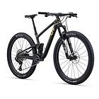 Liv Pique Advanced 29 1
