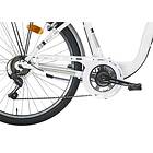 Montana Bikes Ayda Monotrave 650c