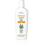 Cannaderm Seborea CBD+ Shampoo 150ml