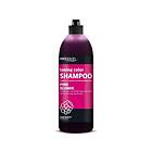 Chantal Prosalon Toning Color Shampoo 500g