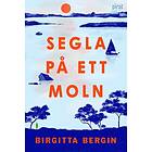 Birgitta Bergin: Segla på ett moln