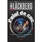 Puiul de cuc