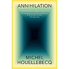 Annihilation