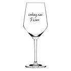 Ritzenhoff Vinglas Working nine to Wine 48 cl