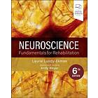 Neuroscience