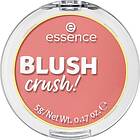 Essence Blush Crush!