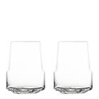 Zwiesel Glas Level vitvinsglas 38 cl 2-pack