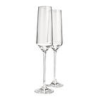 Anders Petter Celebration champagneglas 19 cl 2-pack