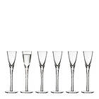 Lyngby Glas Snaps Paris 16 cm 6-pack