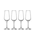 Orrefors Pulse champagneglas 28 cl 4-pack