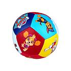  Barbo Toys Mjuk Boll Paw Patrol