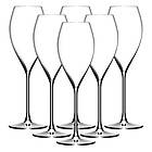 Excellence Champagneglas 21cl, 6-pack Lehmann