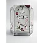 Alessandro Striplac Peel Or Soak Arctic Christmas Advent Calendar