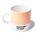 Pantone Espresso Cup 2024. Peach Fuzz 13-1023