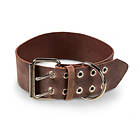 Feel Active Brett Hundhalsband i Läder Brun (5,7 cm x 50-60 cm)