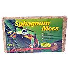 Lucky Reptile Sphagnum Moss 500g