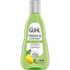 Guhl Fräscht & Lätt Shampoo 250ml