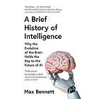 A Brief History of Intelligence