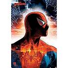 Poster (113R) Spider-Man (Protector Of The City) (61X91,5)