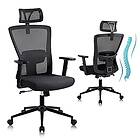 Youhauchair Ergonomic Office Chair YC-5008