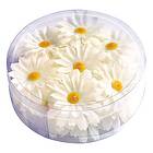 Dekorationsblommor Vita 20-pack