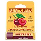 Burt's Bees läppbalsam Wild Cherry Blister 4,25g