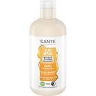 Sante Naturkosmetik Hudvård Hårvård Deep Repair Anti-Spliss Care Treatment 200ml