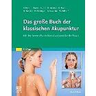 Das große Buch der klassischen Akupunktur