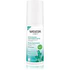 Weleda Cactus Hydrating Facial Mist 100ml