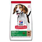 Hills Science Plan Puppy Medium Lamb & Rice 12kg