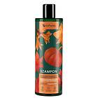 Vis Plantis Pumpkin Seed Oil Shampoo Weak Hair 400ml Schampo