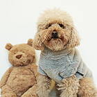 North 51 Degrees Hundtröja Teddy Grå (24 cm)