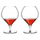 NUDE Fantasy Cognacsglas 87 cl 2-pack