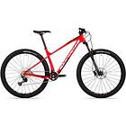 Rock Machine Blizz CRB 30-29 29"