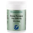 Örtspecialisten Snow Fungus 2400mg 50 kaps