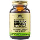 Solgar SFP Siberian Ginseng Root Extract 60 kapslar